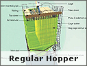 Regular Hopper Regular Hopper