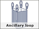 Ancillary loop